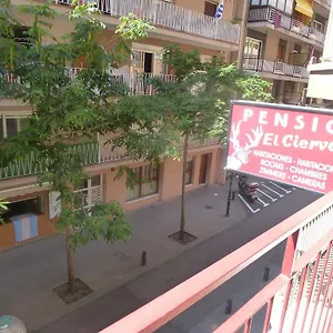 Pensjonat El Ciervo, Lloret de Mar